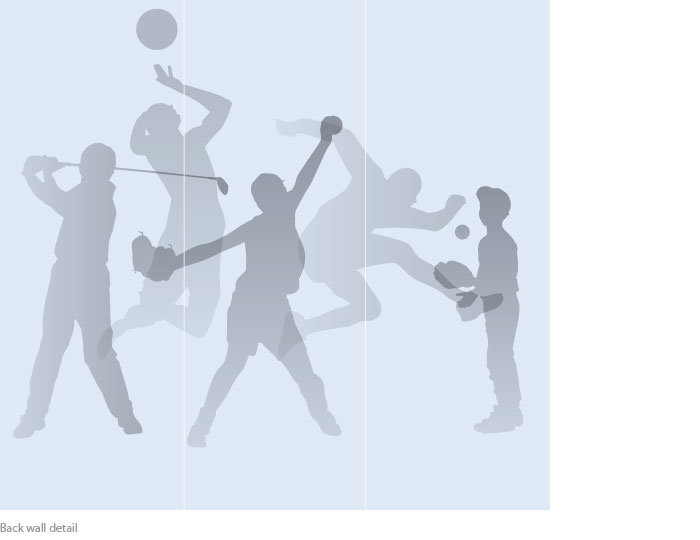 HSS graphic